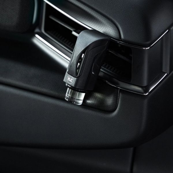 Neone дикая мощь 70 г Ароматизатор для салона авто K20882 фото