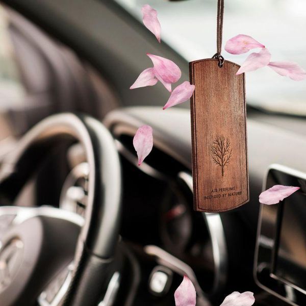 Ароматизатор для салону авто К2 Evos Grace Madam жіночий аромат 4 г сухий K20764 фото